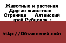 Животные и растения Другие животные - Страница 3 . Алтайский край,Рубцовск г.